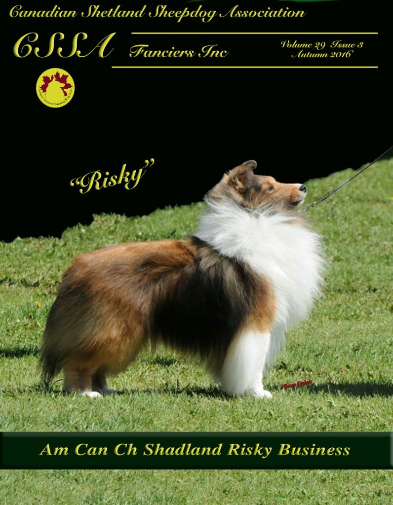 Autumn 2016 Volume 29 Issue 3