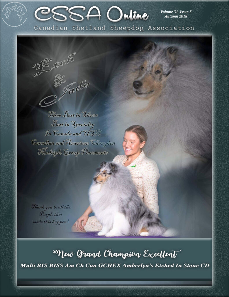 Autumn 2018 Volume 31 Issue 3