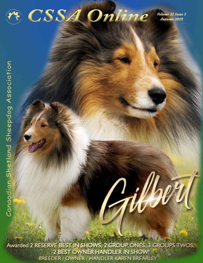 Autumn 2019 Volume 32 Issue 3