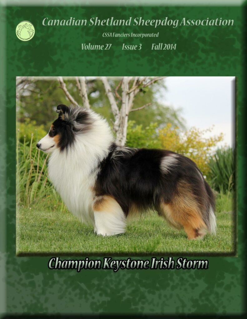 Fall 2014 Volume 27 Issue 3