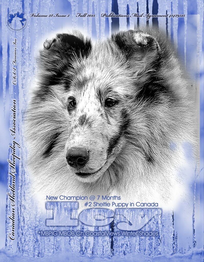Fall 2015 Volume 28 Issue 3