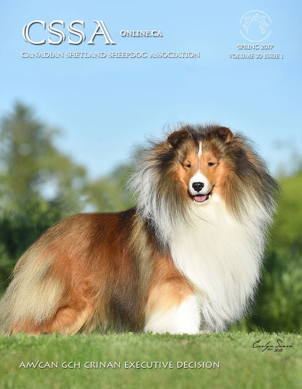 Spring 2017 Volume 30 Issue 1