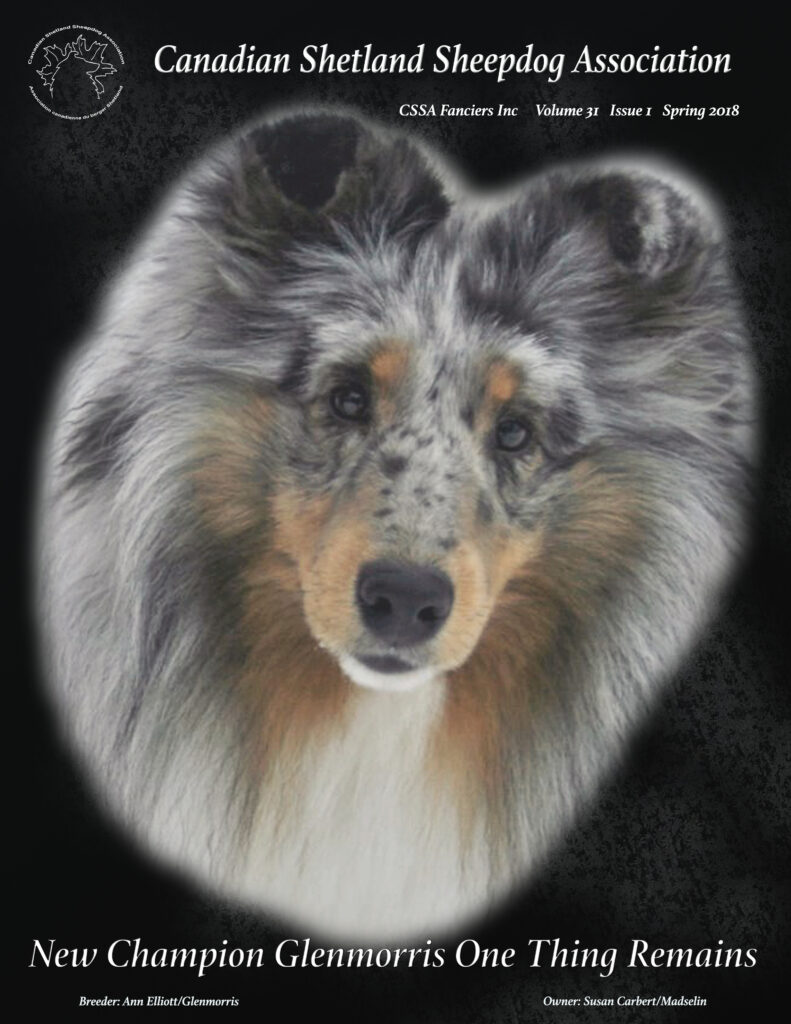 Spring 2018 Volume 31 Issue 1