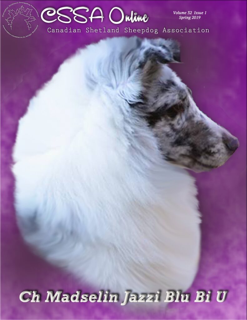 Spring 2019 Volume 32 Issue 1