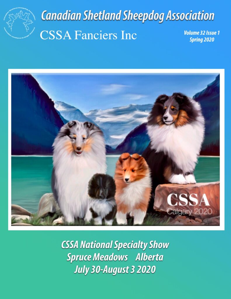 Spring 2020 Volume 32 Issue 1