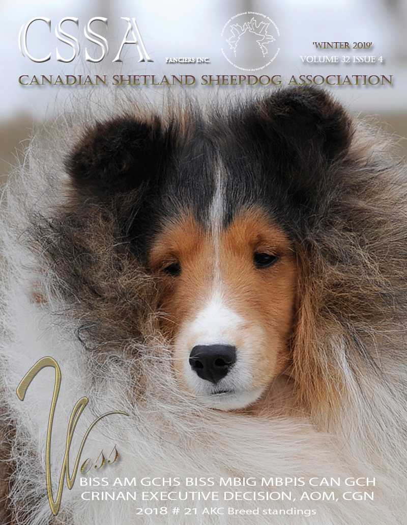 Winter 2019 Volume 32 Issue 4