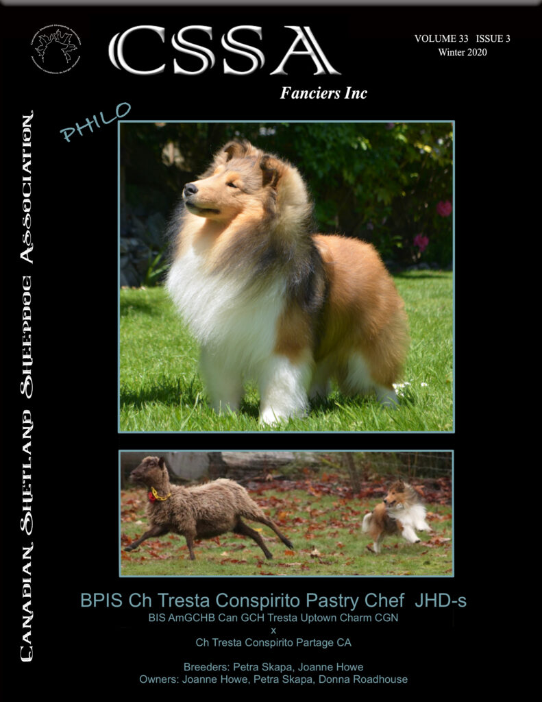 Winter 2020 Volume 33 Issue 3